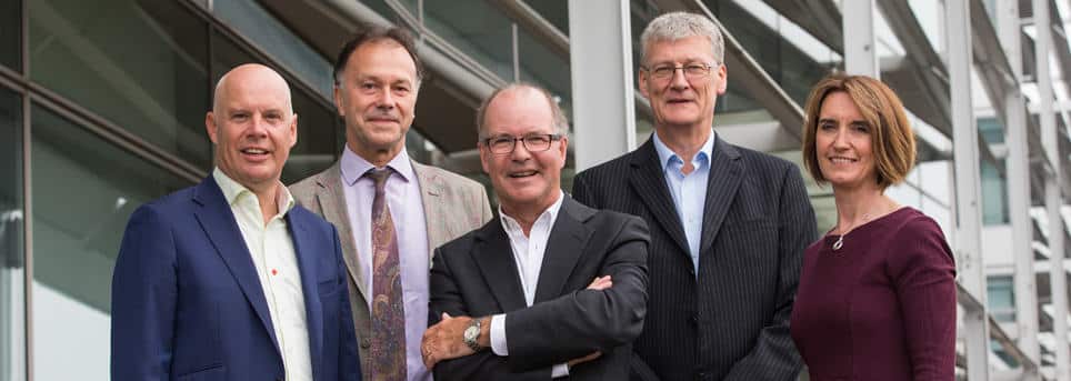 AiQ Consulting Directors