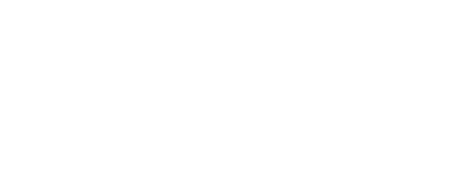Cyber Essentials Plus